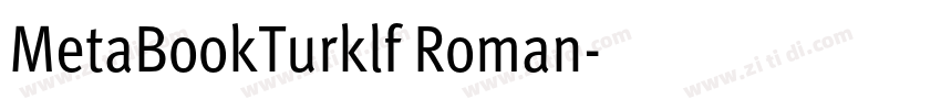 MetaBookTurklf Roman字体转换